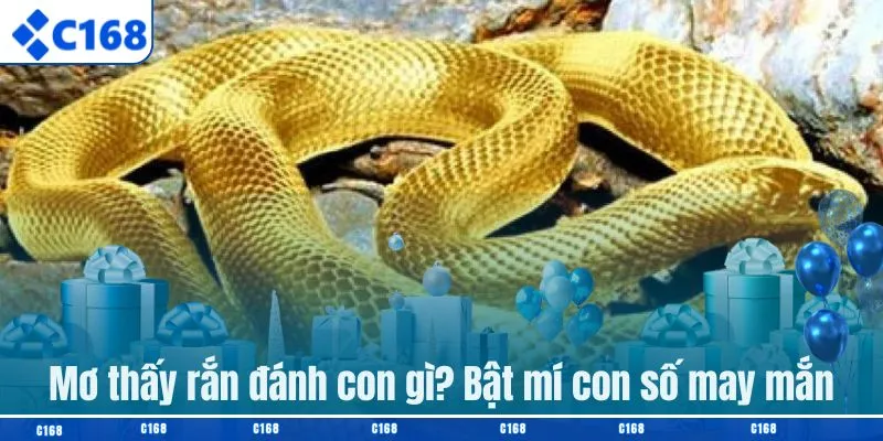 Mơ thấy rắn đánh con gì? Bật mí con số may mắn